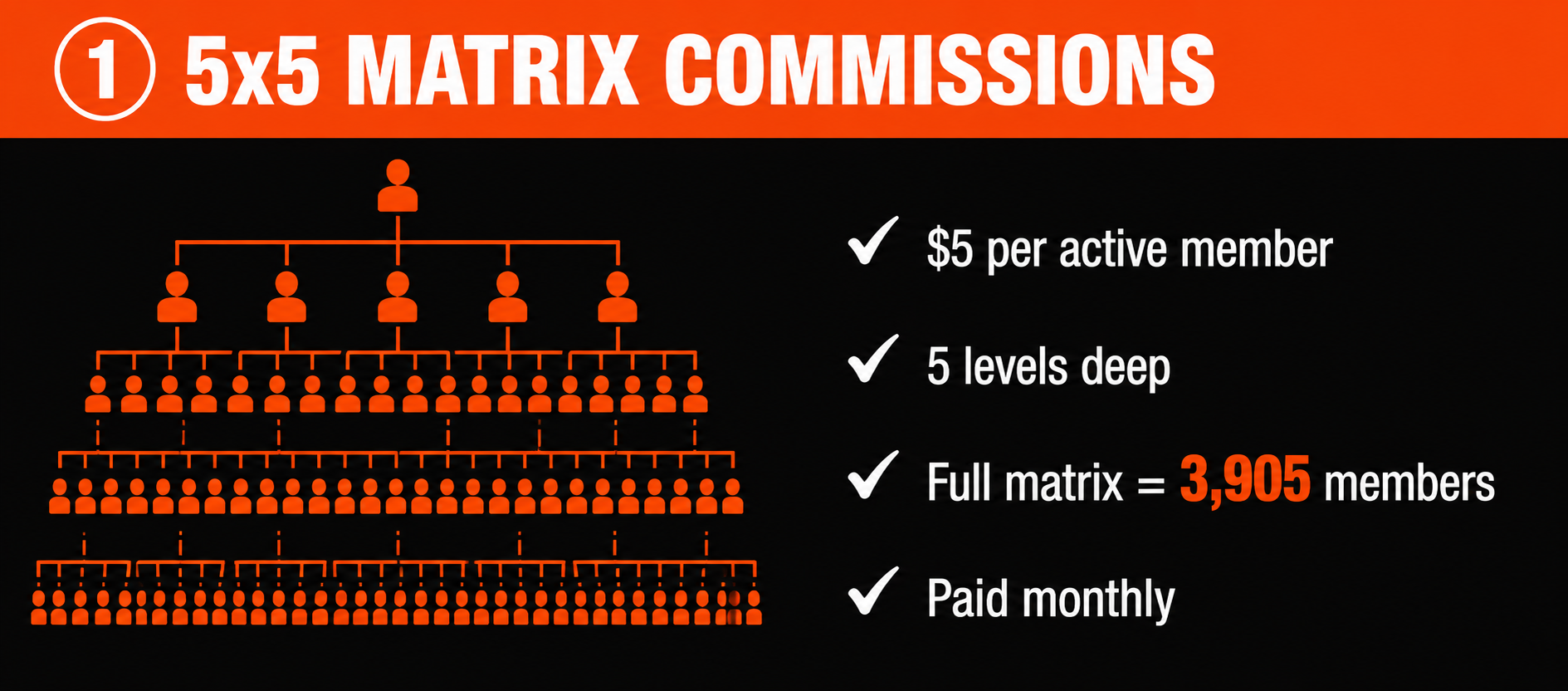 5x5 Matrix Commissions: $5 per active member, 5 levels deep, full matrix 3,905 members, paid monthly